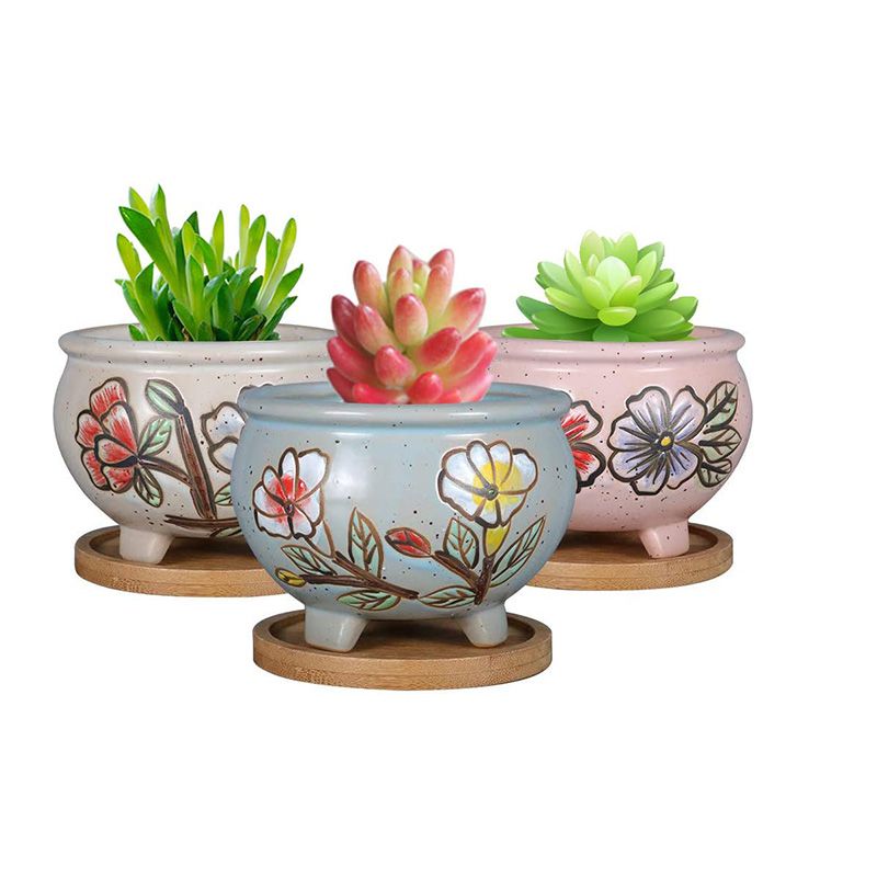 Ceramic Painted Succulent Pots