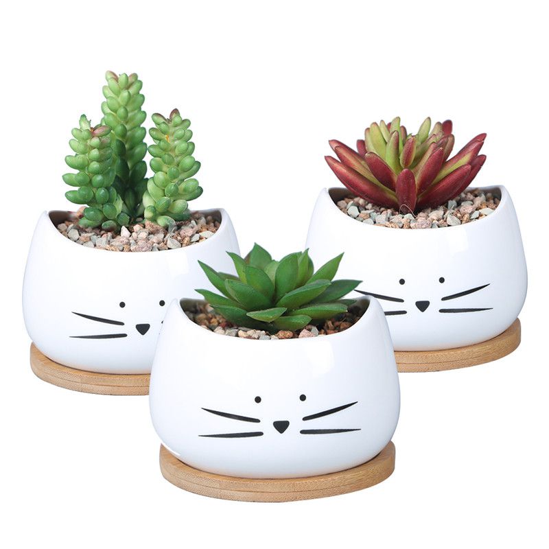 Cat Face Succulent Planter Ceramic Pot