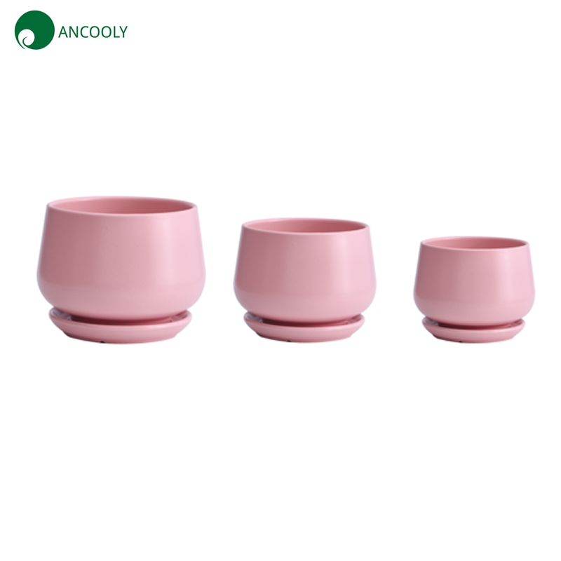 Pink Pottery Planter Set with Tray